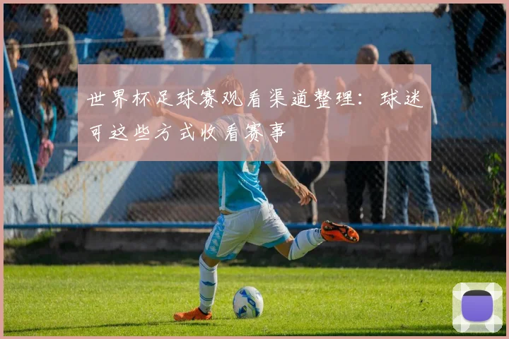 世界杯足球赛观看渠道整理：球迷可这些方式收看赛事