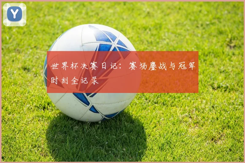世界杯决赛日记：赛场鏖战与冠军时刻全记录