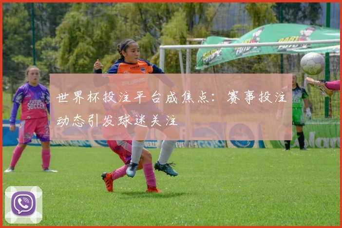 世界杯投注平台成焦点：赛事投注动态引发球迷关注