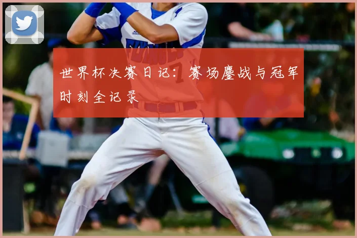 世界杯决赛日记：赛场鏖战与冠军时刻全记录