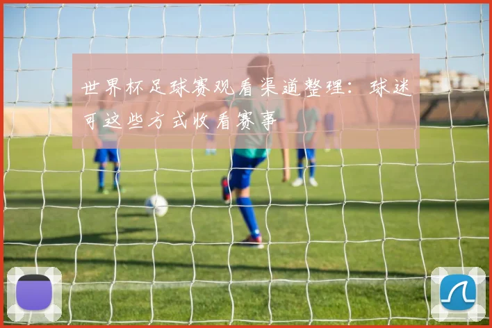 世界杯足球赛观看渠道整理:球迷可这些方式收看赛事