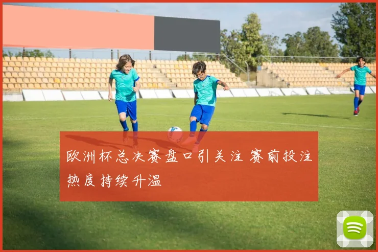欧洲杯总决赛盘口引关注 赛前投注热度持续升温