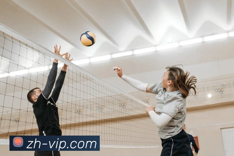 App Interface Preview